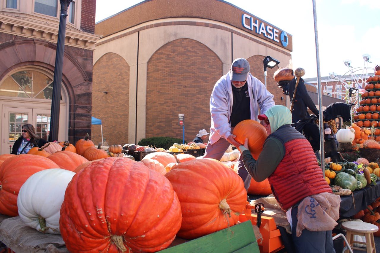 Pexels Photo 29008121